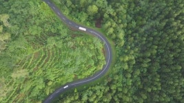 Aerial | 유토이미지 미디어샵 검색 결과