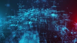 116588807 / 4K - 싱글 동영상