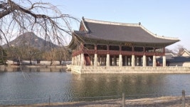 경복궁 | 유토이미지 미디어샵 검색 결과