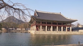 경복궁 | 유토이미지 미디어샵 검색 결과