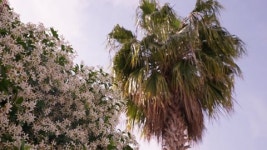 116524533 / 4K - 싱글 동영상