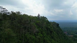 311494680 / HD - 싱글 동영상