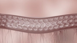 311494680 / HD - 싱글 동영상