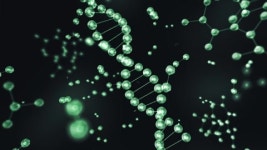 311494680 / HD - 싱글 동영상