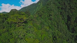 311494680 / HD - 싱글 동영상