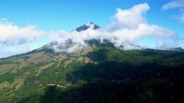 311494680 / HD - 싱글 동영상