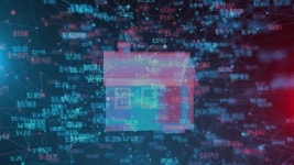 116588807 / 4K - 싱글 동영상