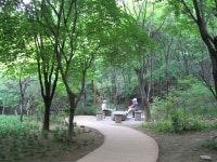 공원검색 < 서울의 공원 정원도시 서울(서울의 공원)