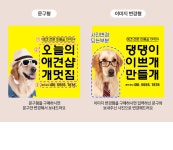 파티붕붕 | D5623 애견 미용실 현수막 D5623 현수막 / 애견 미용실 현수막 애견샵 펫샵 오픈 포토존 제작