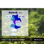 파/티/붕/붕 D3073 장마 현수막 / 유치원 어린이집 방송국 날씨 뉴스 역할 직업 체험 놀이 배경 포토존