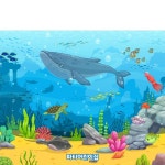 파/티/붕/붕 D4817 여름 현수막 / 어린이집 유치원 바다속 고래 배경 포토존 현수막