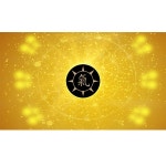 파/티/붕/붕 D4664 기치료 현수막 / 한의원 한약 보약 체질치료 한방 현수막 제작