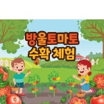 파/티/붕/붕 D3255 과수원 현수막 / 방울 토마토 농장 현수막 유치원 어린이집 텃밭 체험 플랜카드