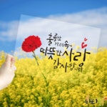파/티/붕/붕 환갑칠순 - 환갑칠순