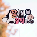 파티붕붕 | 즐거운 파티의 모든 것 [상품명]