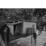 파티붕붕 [상품명]