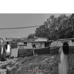 파티붕붕 | 즐거운 파티의 모든 것 [상품명]