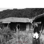 파티붕붕 | 즐거운 파티의 모든 것 [상품명]