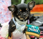 Jun 11 | Pet Palooza & Food Truck Festival | Caldwells, NJ Patch Local Event: Pet Palooza & Food Truck Festival