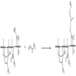 KR101378026B1 - 레지스트용 중합체 및 이를 포함하는 레지스트 조성물 - Google Patents
