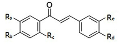 KR20160097165A - 베이지 및 갈색 지방세포 분화 유도용 조성물 및 이의 방법 - Google Patents