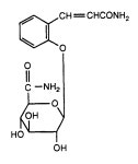 EP0601092B1 - Method for the selection of genetically transformed cells and compounds for use in the method - Google Patents