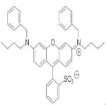 KR20200033244A - 염료 마스터 배치의 제조방법 - Google Patents
