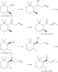 US6770618B2 - (1S,6R)-2,2,6-Trimethylcyclohexyl methyl ketone and/or (1R,6S)-2,2,6-trimethylcyclohexyl methyl ketone, process for... 