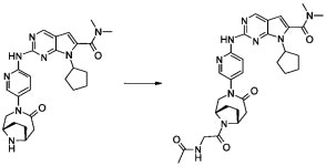 WO2011101409A1 - Pyrrolopyrimidine compounds as inhibitors of cdk4/6 - Google Patents