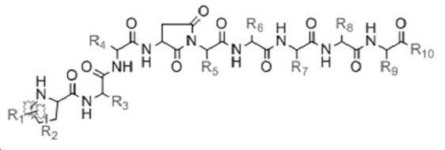 KR20200134153A - 신규한 펩타이드 화합물 또는 이의 약제학적으로 허용 가능한 염 - Google Patents