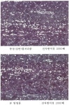 KR101319695B1 - W-Mo-Cr-V-(Co)계 고속도공구강의 탄화물의 미세 석출 및 균일 분포에 의한 인성 향상 및 경도 증가 열처리 방법... 
