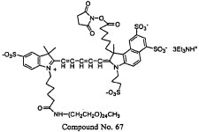 EP2223086B1 - Fluorescent compounds - labeling dyes - Google Patents