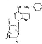 EP0601092B1 - Method for the selection of genetically transformed cells and compounds for use in the method - Google Patents