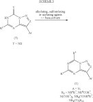 US7678793B2 - Azolo triazines and pyrimidines - Google Patents