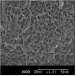 KR102239630B1 - 노화가 억제된 떡의 제조방법 및 이에 따라 제조된 노화가 억제된 떡 - Google Patents