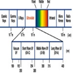 KR100664557B1 - 펄스 자외선 램프를 이용한 수처리 장치 - Google Patents