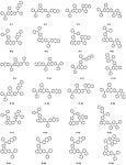 KR20200095104A - 유기전기 소자용 화합물, 이를 이용한 유기전기소자 및 그 전자 장치 - Google Patents