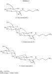 US7375168B2 - Protein compatible methods and compounds for controlling the morphology and shrinkage of silica derived from polyol... 