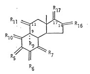 WO1987001706A2 - C20 through c26 amino steroids - Google Patents