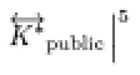 KR20200036727A - 프라임 모듈로 이중 캡슐화에 기초한 일대다 분산 키 관리 기능을 갖춘 포스트 퀀텀 비대칭 키 암호 시스템 - Google... 