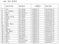 KR20130123357A - 저산소증과 관련된 질환의 진단방법 및 키트 - Google Patents