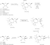US7951789B2 - Compounds and pharmaceutical compositions for the treatment of viral infections - Google Patents