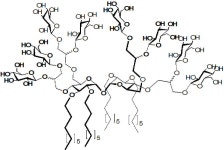 KR20200068883A - 새로운 트레할로스 중심을 갖는 양친매성 화합물 및 이의 활용 - Google Patents