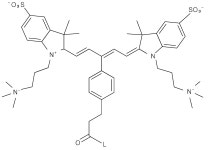 KR102132885B1 - 생체물질과 연결될 수 있는 양쪽성 형광물질 - Google Patents