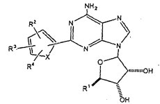 EP1194441B1 - A2a receptor agonists - Google Patents