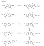 EP1223209A1 - Fluorierte Fluorene und ihre Verwendung in Flüssigkristallmischungen - Google Patents