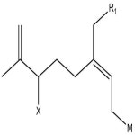 KR102080257B1 - 연속식 반응기를 이용한 변성 중합 개시제의 제조방법 - Google Patents