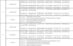 KR101468585B1 - 하나의 핵산상에서 서로 떨어져 있는 복수의 염기서열 요소들의 pcr 증폭 방법 - Google Patents