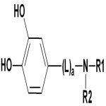 KR102126094B1 - 라디칼 경화형 접착제 조성물 및 이를 포함하는 편광판 - Google Patents