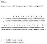 EP0404097B1 - Bispezifische und oligospezifische, mono- und oligovalente Rezeptoren, ihre Herstellung und Verwendung - Google Patents